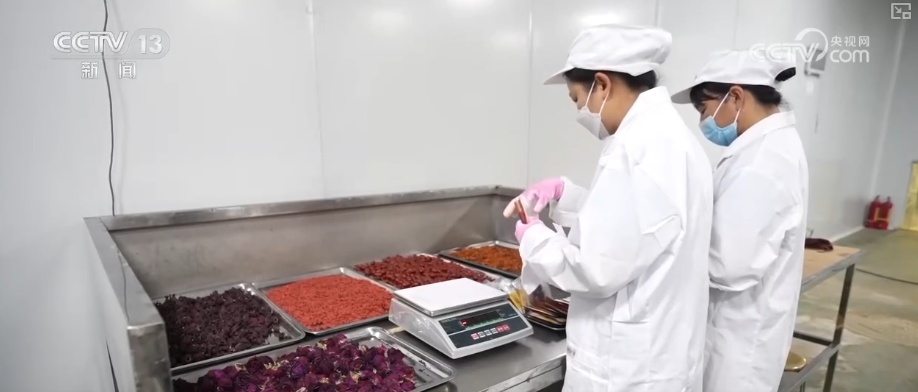 年轻人端起“新饭碗” 职业“上新”折射经济发展动能之变 年轻人端起“新饭碗” 职业“上新”折射经济发展动能之变