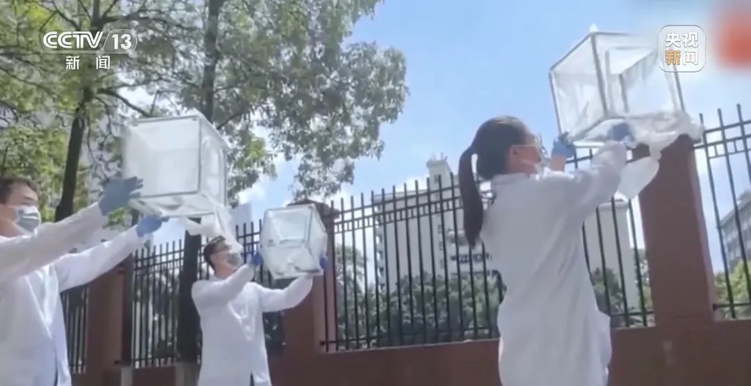 广东开展灭蚊行动! 广东开展灭蚊行动!