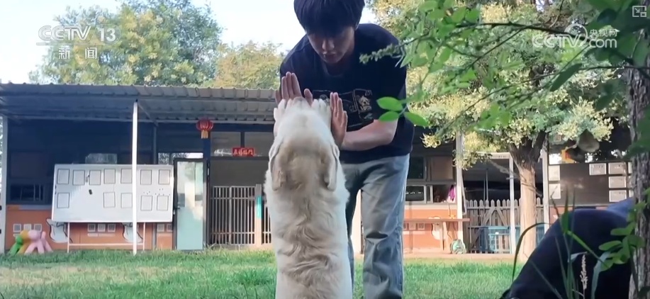 年轻人端起“新饭碗” 职业“上新”折射经济发展动能之变 年轻人端起“新饭碗” 职业“上新”折射经济发展动能之变