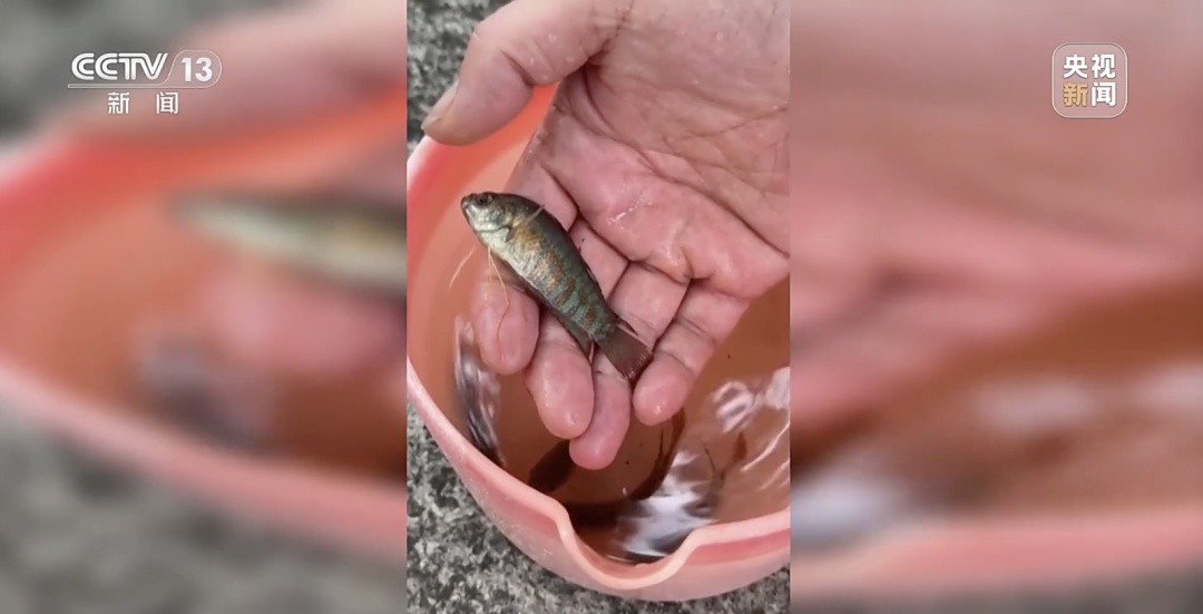 广东开展灭蚊行动! 广东开展灭蚊行动!