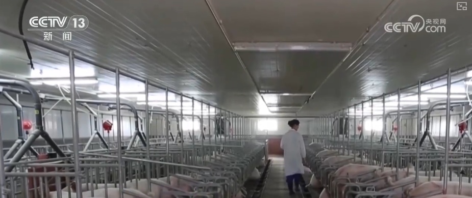 “变废为宝”鼓了百姓“钱袋子” 鲜活实践成撬动生态治理与经济发展“绿色杠杆”