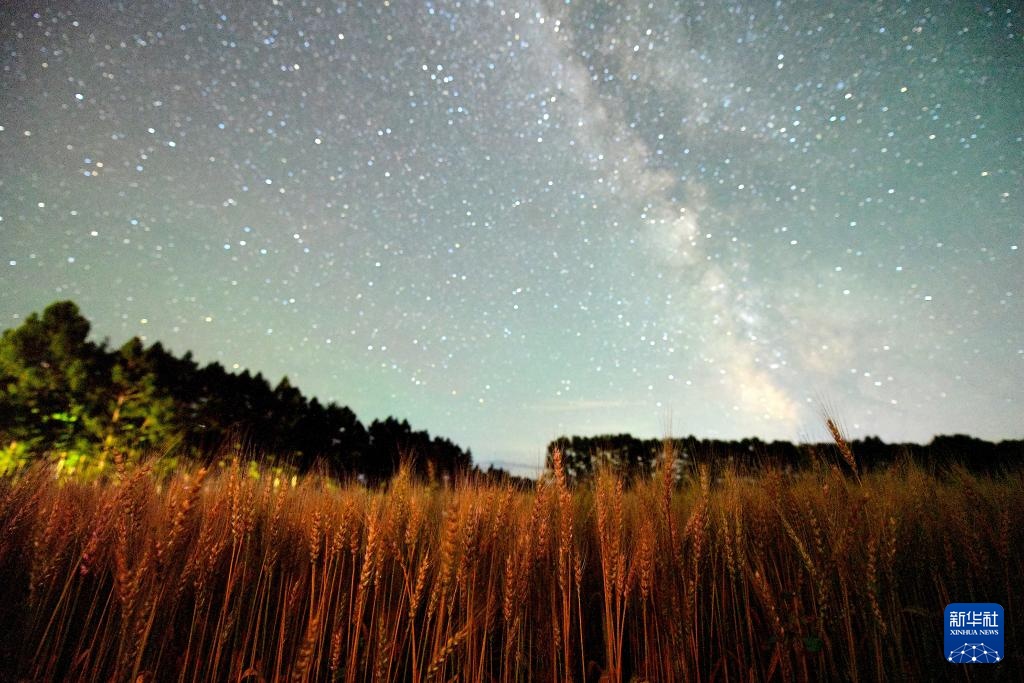 星空相册｜“北大仓”黑龙江：累累硕果“约会”点点繁星