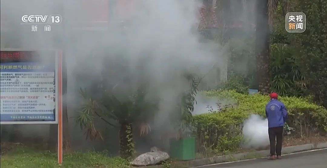 广东全民总动员开启大灭蚊！一地发布“基孔肯雅热后遗症告知书”