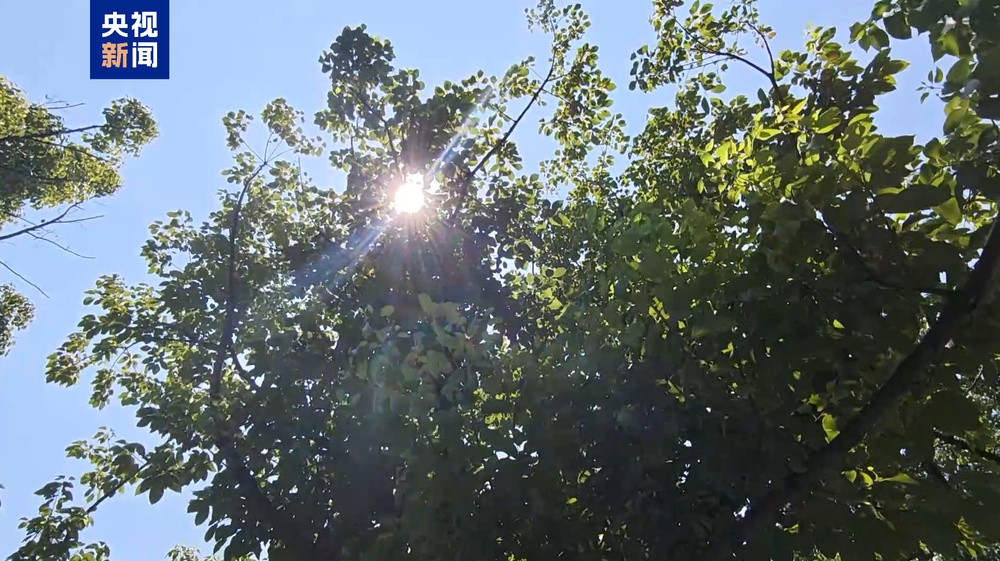 日最高气温将达43℃ 重庆市发布高温红色预警