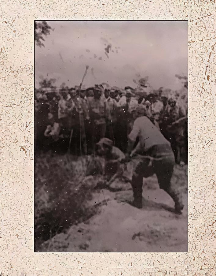 是他冒死守护“血证”相册，曾在三明大田定居17年