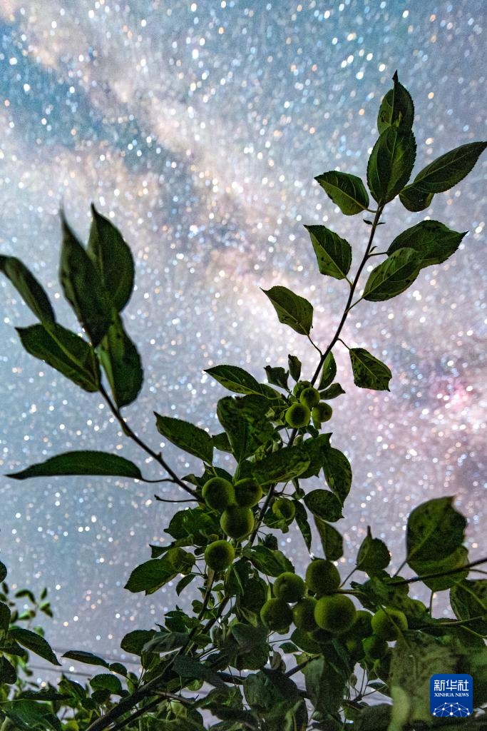 星空相册｜“北大仓”黑龙江：累累硕果“约会”点点繁星