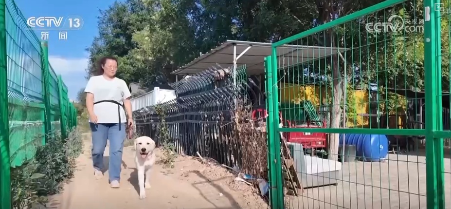 年轻人端起“新饭碗” 职业“上新”折射经济发展动能之变 年轻人端起“新饭碗” 职业“上新”折射经济发展动能之变