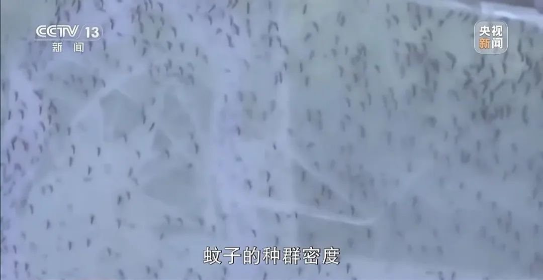 广东全民总动员开启大灭蚊