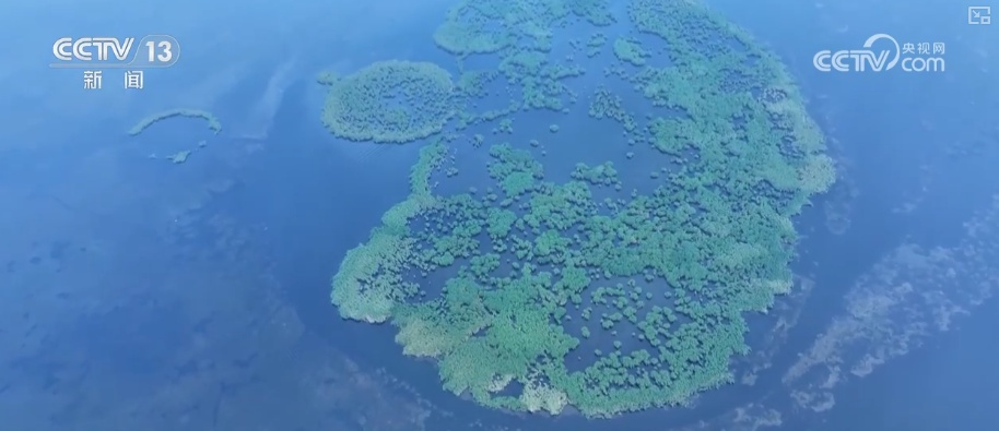 “变废为宝”鼓了百姓“钱袋子” 鲜活实践成撬动生态治理与经济发展“绿色杠杆”