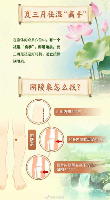 身上有个超级祛湿穴