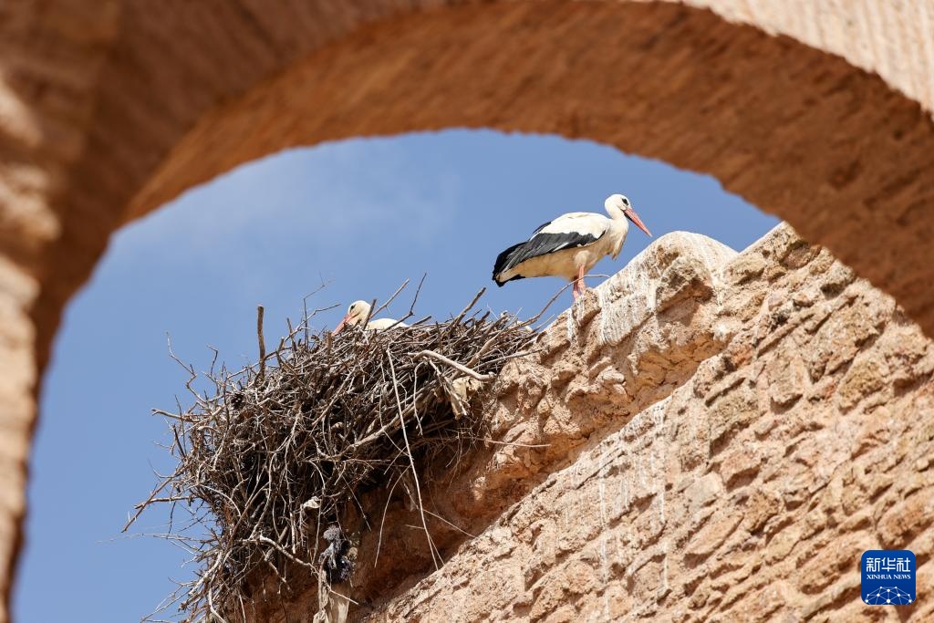 探访摩洛哥舍拉考古遗址 探访摩洛哥舍拉考古遗址