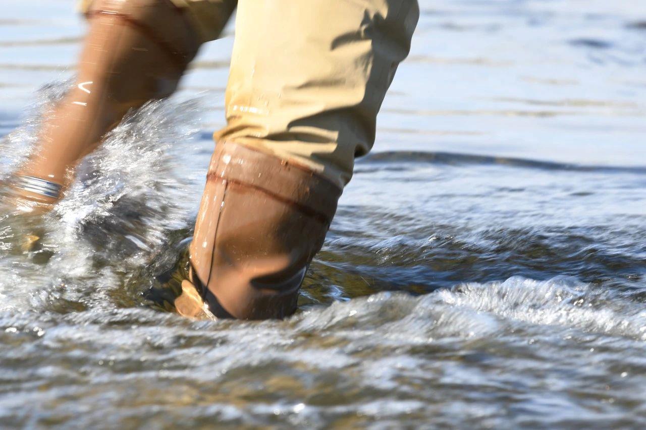 有剧毒！最致命！海边游玩一定要远离这种海螺