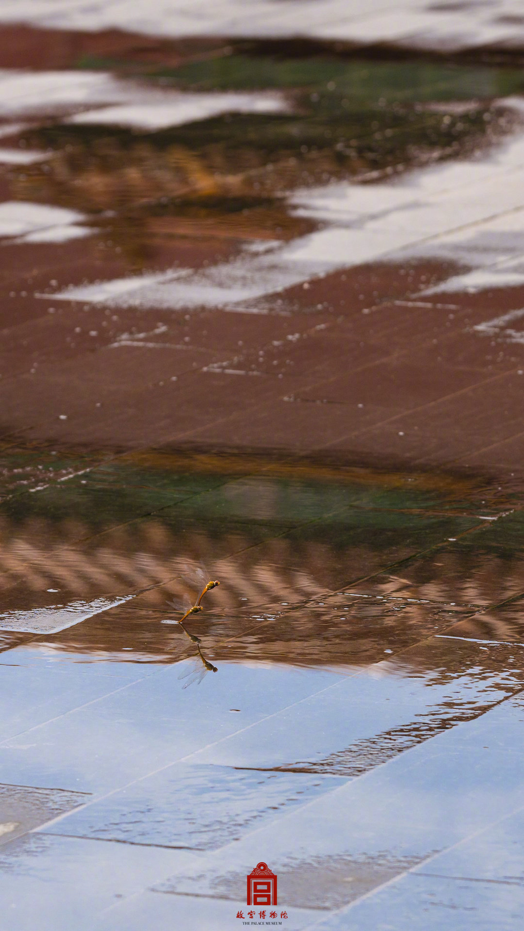 故宫夏日壁纸上新