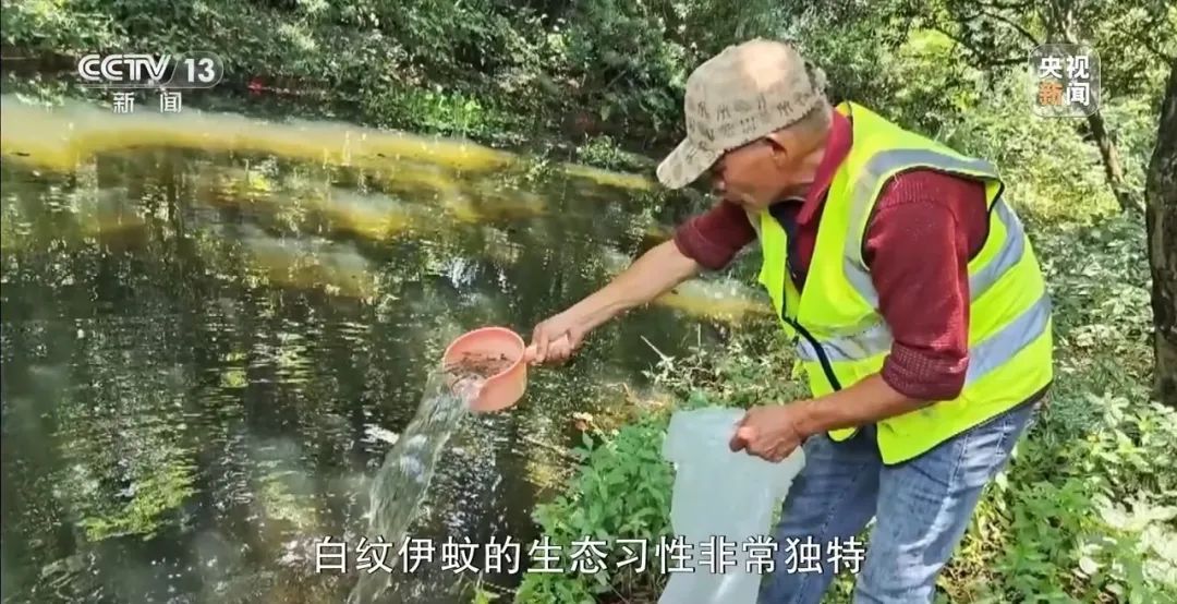 广东全民总动员开启大灭蚊