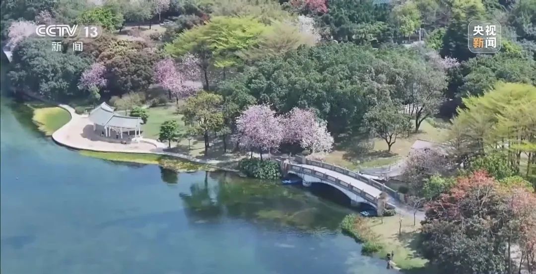 广东全民总动员开启大灭蚊