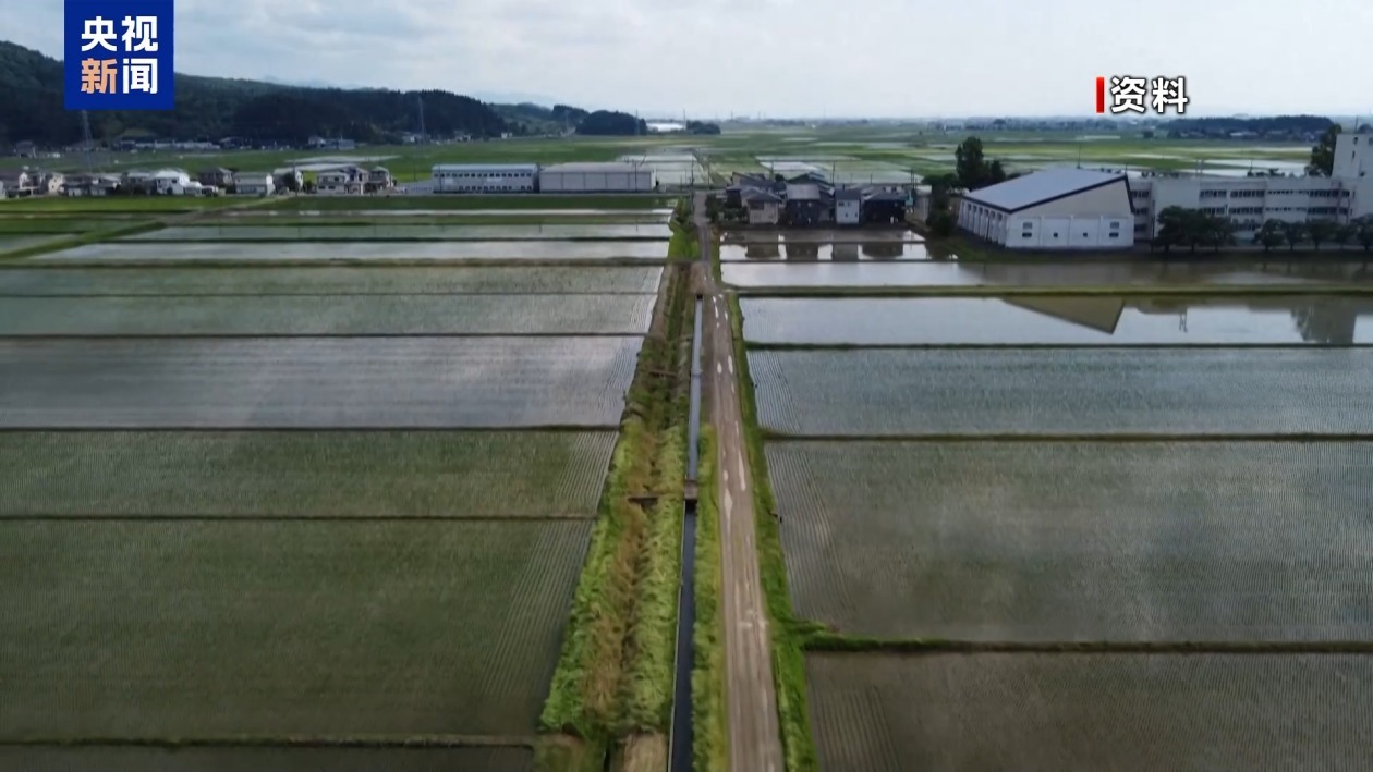 日本连续3年破高温纪录 多地降水量创新低 水稻长势受影响