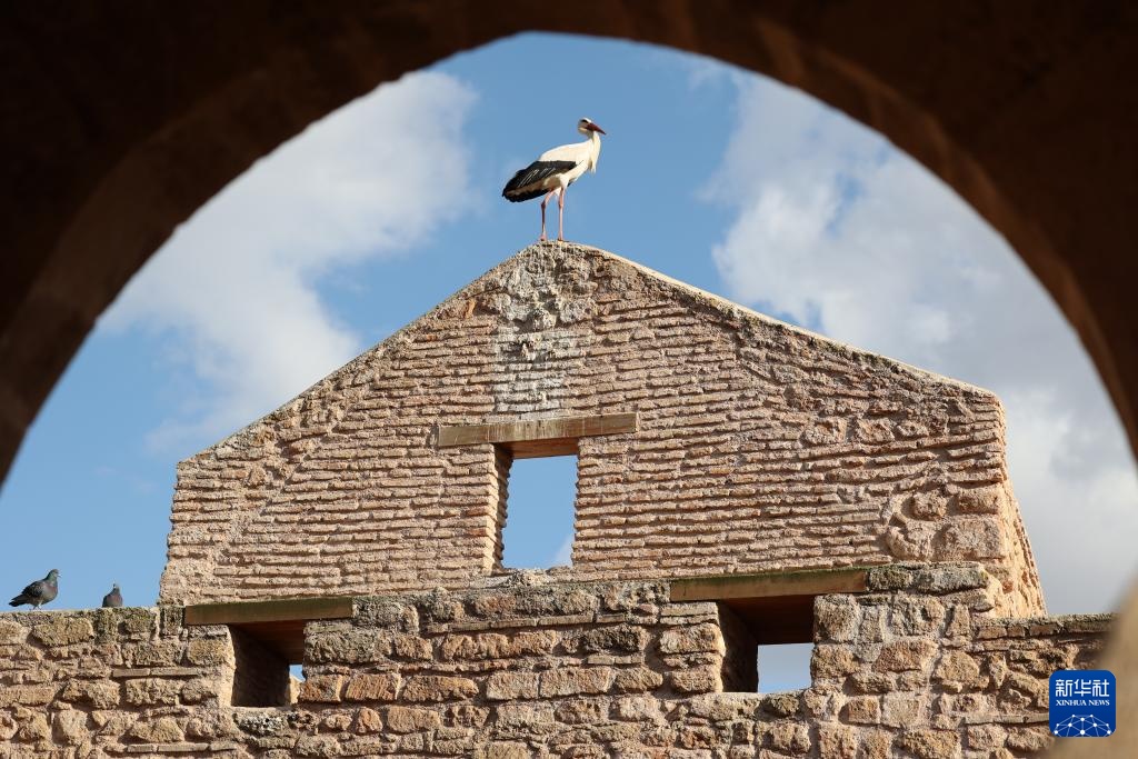 探访摩洛哥舍拉考古遗址 探访摩洛哥舍拉考古遗址