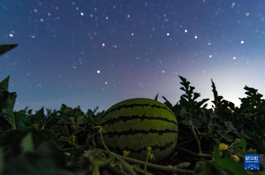 星空相册｜“北大仓”黑龙江：累累硕果“约会”点点繁星