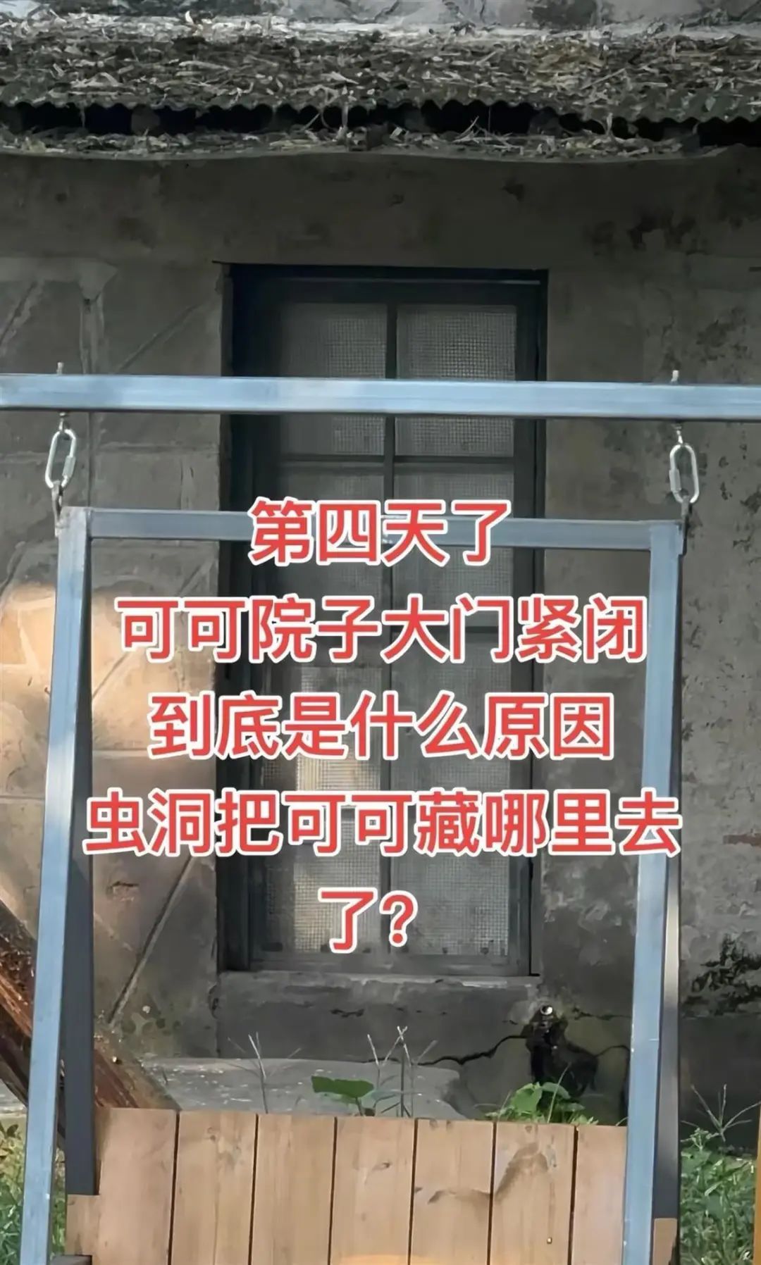 重庆动物园回应大熊猫“渝可”未展出：出现热应激反应，经过治疗已好转