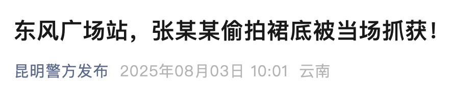 男子地铁内蹲地偷拍裙底，作案细节全被记录！警方：行拘5日！