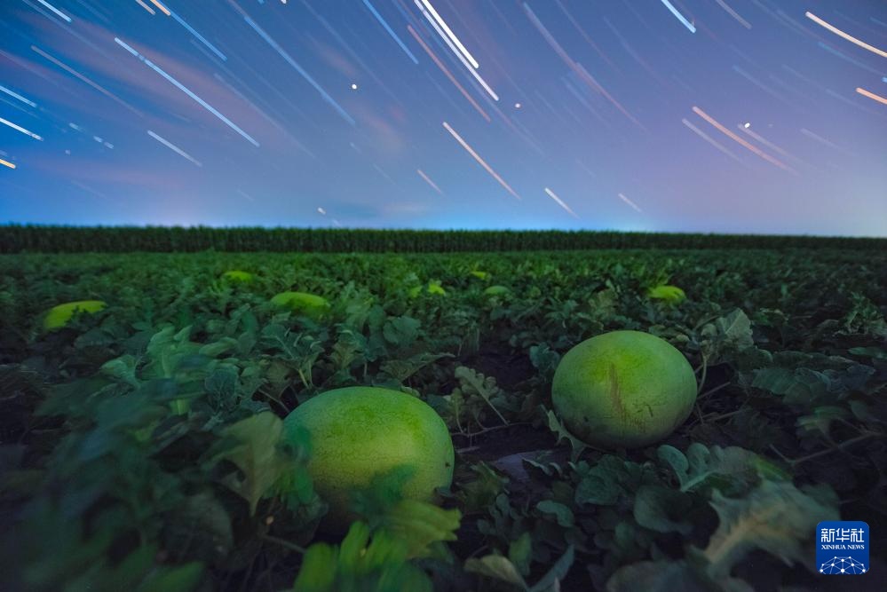 星空相册｜“北大仓”黑龙江：累累硕果“约会”点点繁星