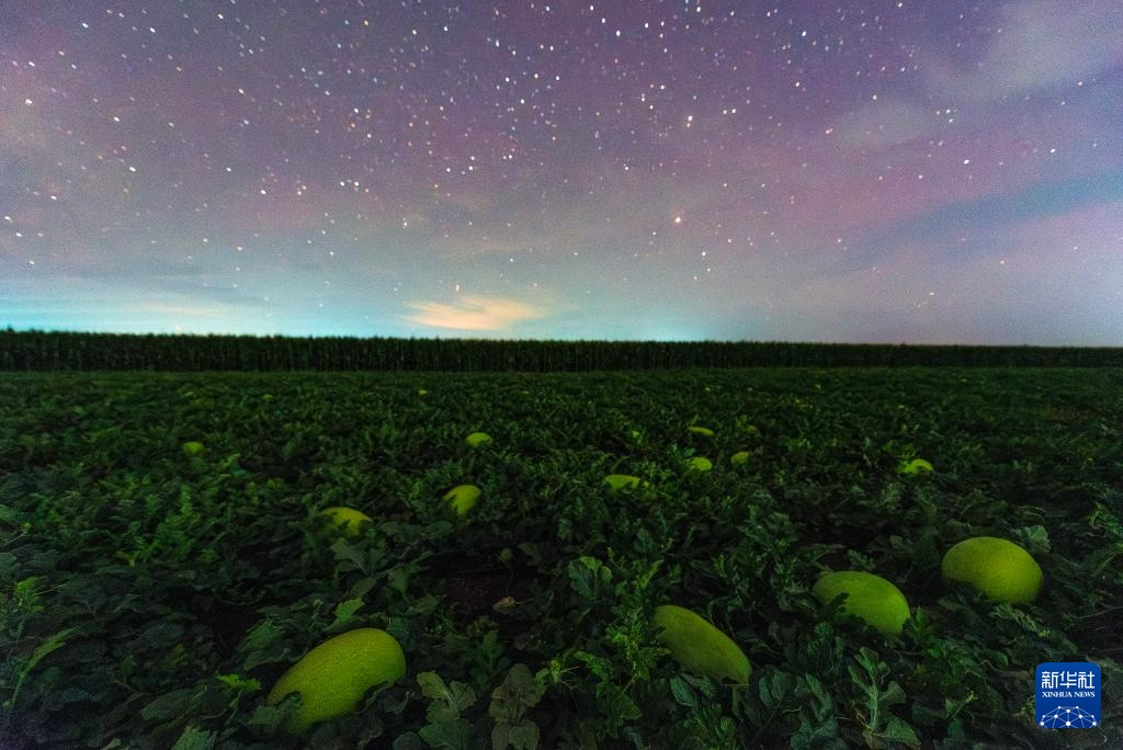 星空相册｜“北大仓”黑龙江：累累硕果“约会”点点繁星