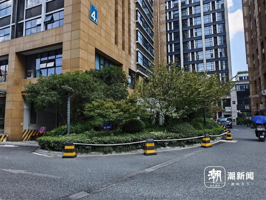 杭州一小区神奇小动物现身！目击者：傍晚出没，吃投放给流浪猫的猫粮