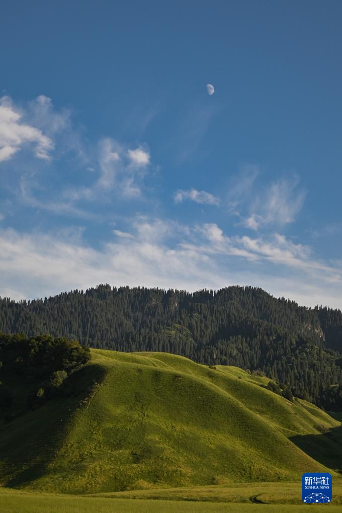 美丽中国丨壮美那拉提