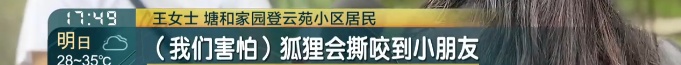 上海一小区惊见异宠！邻居担忧，主人淡定：“我认为它觉得自己是狗”