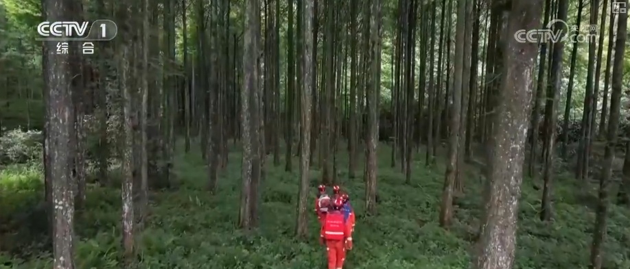 多样化细致服务应对“烤”验 筑牢安全线保障民生、守护秋粮生产