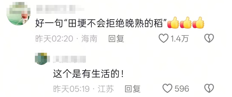 “田埂不会拒绝晚熟的稻，绿茵场不会拒绝坚持的人！”这段“苏超”解说词火了