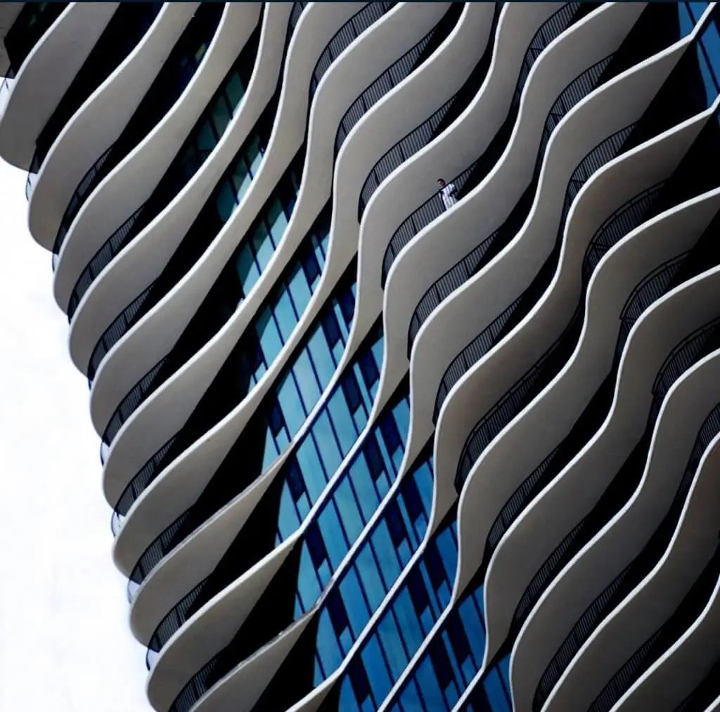 你可能也参加过的防鸟撞项目，最近发了个论文！