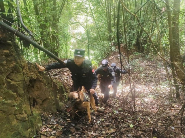 “妈,摄像头坏掉了!我们打语音吧” “妈,摄像头坏掉了!我们打语音吧”