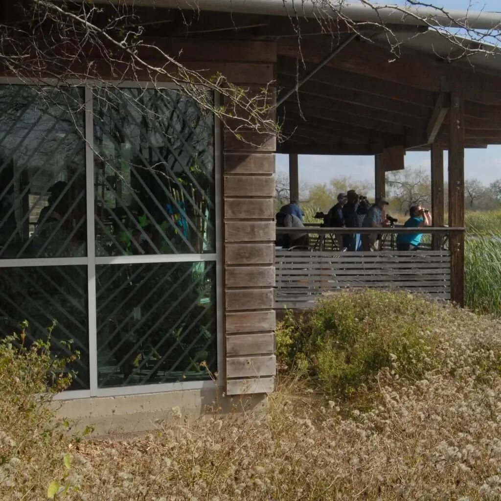 你可能也参加过的防鸟撞项目，最近发了个论文！