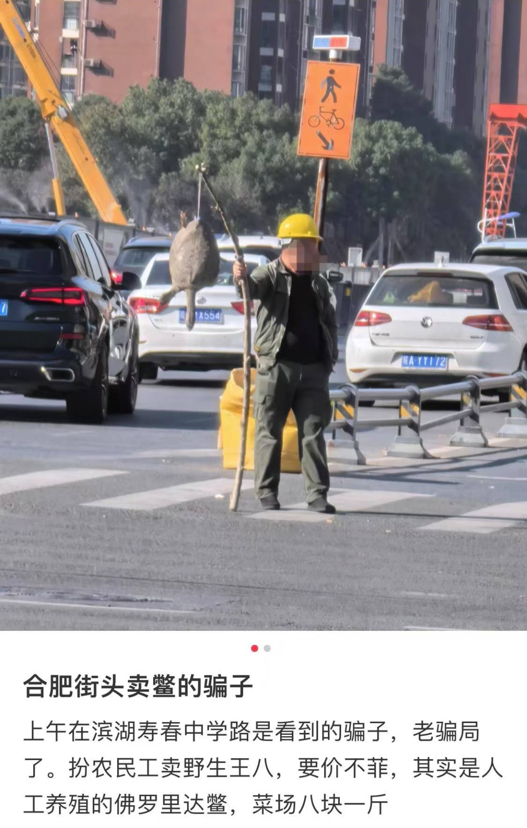 不能吃！多地街头出现，浙江也有人看到了！专家急呼：放生危害更大