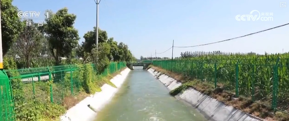 多样化细致服务应对“烤”验 筑牢安全线保障民生、守护秋粮生产