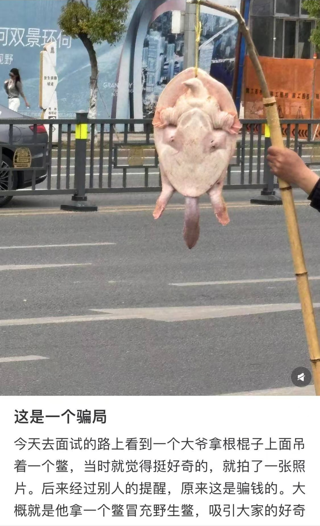 不能吃！多地街头出现，专家紧急呼吁