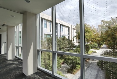 你可能也参加过的防鸟撞项目，最近发了个论文！