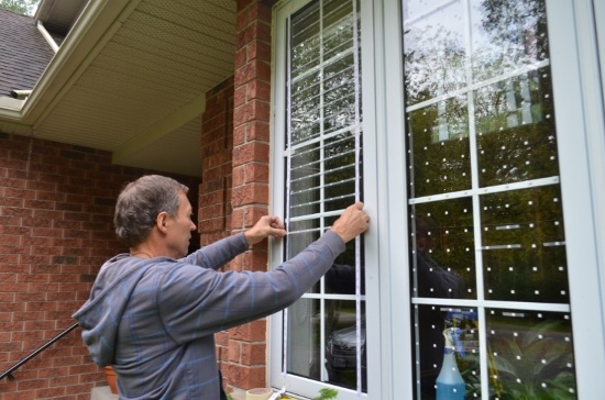 你可能也参加过的防鸟撞项目，最近发了个论文！