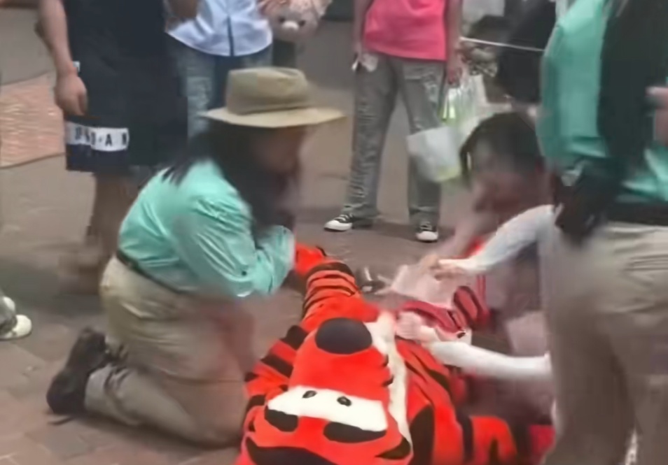 事发上海迪士尼！“跳跳虎”突然晕厥倒地，有游客在旁边扇风，回应→