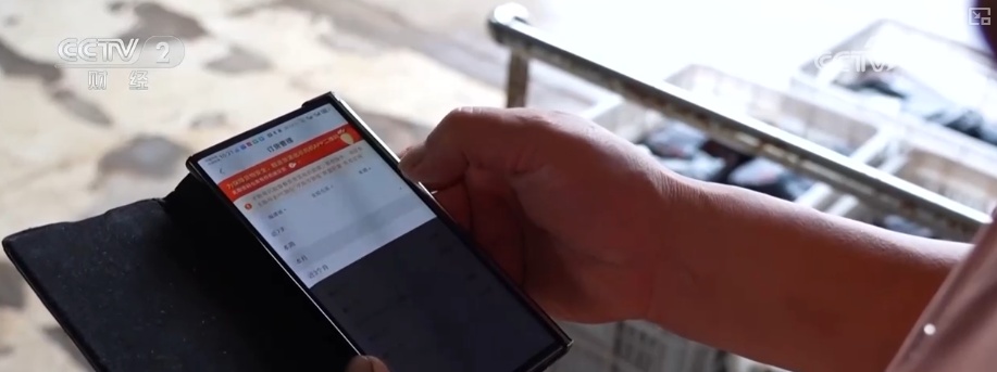 “荷”你一起淘“荷”趣 借助荷花夏日“经济账”看“荷经济”潜力 “荷”你一起淘“荷”趣 借助荷花夏日“经济账”看“荷经济”潜力