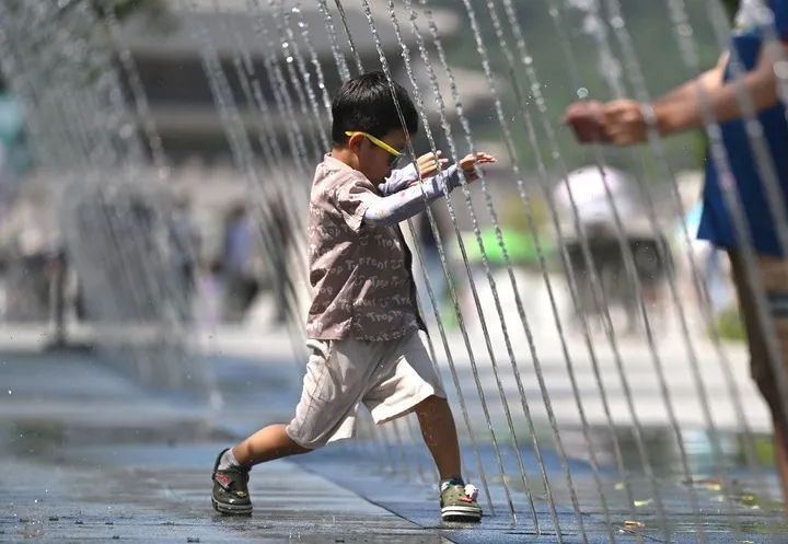 韩国蔬果价格暴涨