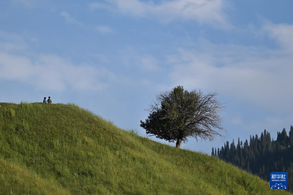美丽中国丨壮美那拉提