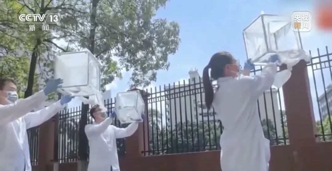 7天新增2892例，广东全省灭蚊中！提醒：室内或藏蚊子“产房”，发现幼虫别倒下水道