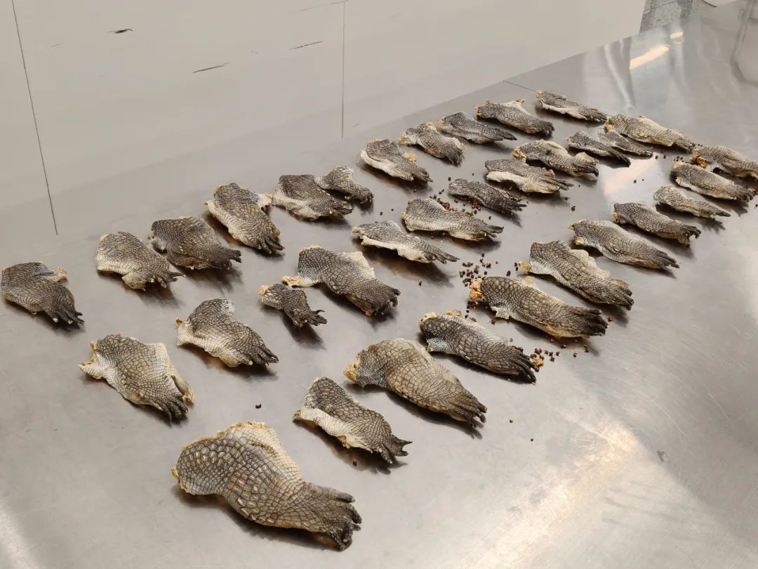 34掌齐发，看你如何招架……拦截！