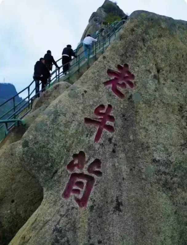 51岁男子疑坐1米高栏杆不慎坠崖身亡！现场游客发声！