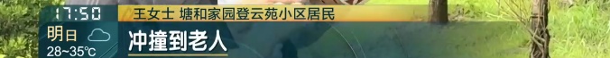 上海一小区惊见异宠！邻居担忧，主人淡定：“我认为它觉得自己是狗”