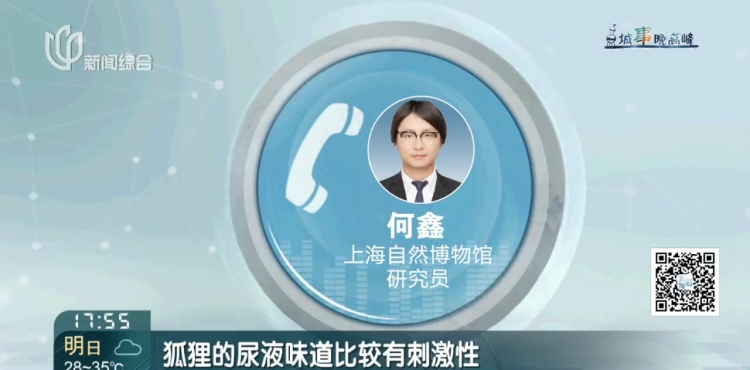 上海一小区惊见异宠！邻居担忧，主人淡定：“我认为它觉得自己是狗”