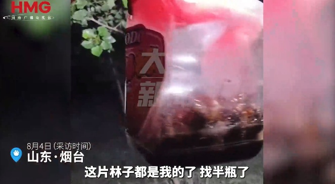 山东男子下班后和对象抓知了猴，43天赚5000多元瘦了10斤！网友羡慕坏了