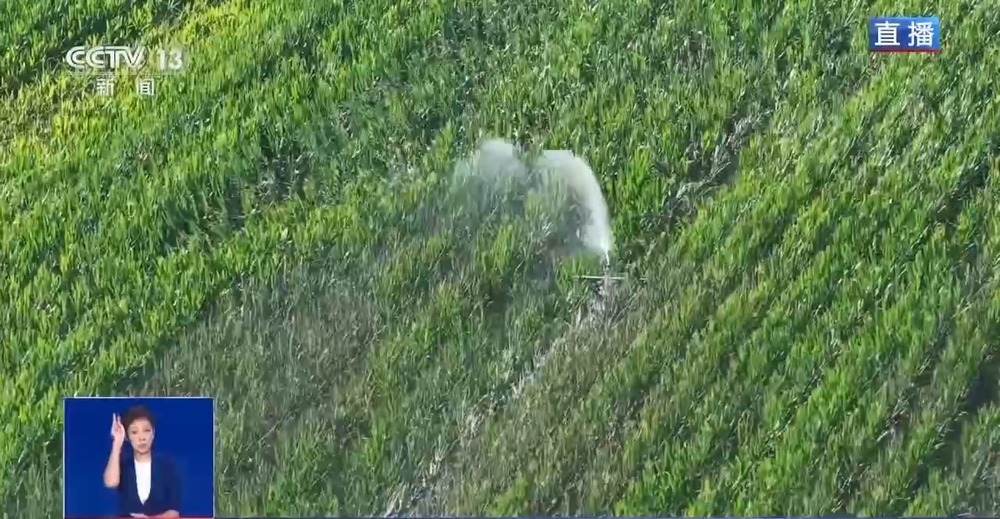 “地下地上”双线抗旱 豫东豫南多举措保障农业生产